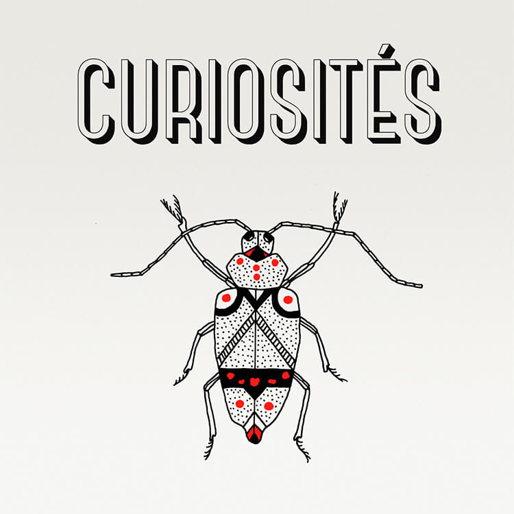Curiosités - 10ml